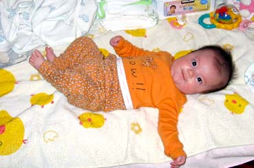 �J�����ڐ�